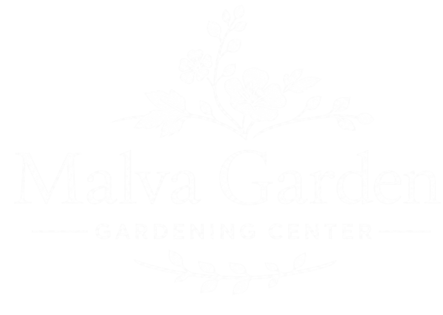 Malva Garden